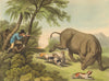 RHINOS. African rhino- hunt. Dogs. rifles.  (Field Sports- Edward Orme)  1814
