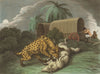 AFRICA. Shooting Hyaena attacking sheep. Wagon. Rifles (Edward Orme)  1814
