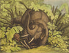 AFRICA. Elephant in the Pitfall (Field Sports- Edward Orme)  1814 old print