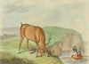 MILITARIA. Sailors shooting a Wild Stag deer from boat (Edward Orme)  1814