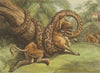 SOUTH AMERICA. Anaconda Boa Constrictor killing eating a Bull (Orme)  1814