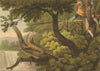 AMERICAN GUANA. Mexican catching lizard using noose (Edward Orme)  1814 print