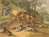 ARCTIC. hunt Elk bow arrows dogs (Field Sports- Edward Orme)  1814 old print