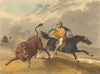 S AMERICA. Pion gaucho cowboy catching wild bull. Horse.  (Edward Orme)  1814