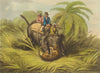 INDIA. Elephant fighting Tiger. Shooting Anecdote (Edward Orme)  1814 print