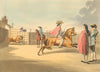SPAIN BULL FIGHTING 1. First appearance of the bull. Horse (Orme)  1814 print