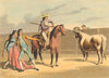 SPAIN BULL FIGHTING 2. Attack of the Picadores. Horsemen (Orme)  1814 print