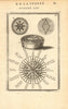 MEDITERRANEAN WINDS. Compass points. Maestro Greco Scirocco Ostro. MALLET 1683