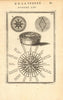 MEDITERRANEAN WINDS. Compass points. Maestro Greco Scirocco Ostro. MALLET 1683