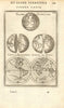 WORLD. Globe Terrestre; Carte ou Planisphere General du Monde. MALLET 1683 map