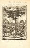RAIN TREE OF EL HIERRO. Garoé. 'Arbre de l'Isle de Fer'. Canarias. MALLET 1683