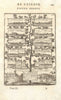 NIJMEGEN 1678 TREATY Valenciennes Cambrai Cassel St Omer Aire Condé. MALLET 1683