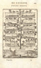 NIJMEGEN 1678 TREATY Valenciennes Cambrai Cassel St Omer Aire Condé. MALLET 1683