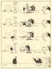 HEATH ROBINSON. The new measuring chair now in use by most West-End tailors 1935