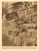 Baboons on the Monkey Hill, London Zoo, Regent's Park 1926 old vintage print