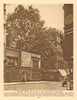 The plane-tree on the corner of Cheapside & Wood Street 1926 old vintage print