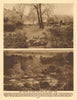 Two aspects of Hyde Park near the Albert Gate 1926 old vintage print picture
