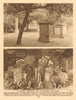 St. Pancras churchyard & its disturbed gravestones. The Hardy Tree 1926 print