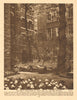 The empty churchyard of what was All Hallows Staining 1926 old vintage print