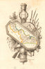 NORD département. Scarce antique map/carte by A.M. PERROT 1823 old