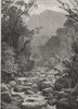 The Valley of the Grose. The Blue Mountains. Australia 1890 old antique print