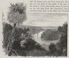The Waimakariri Gorge. Springfield/West Coast. New Zealand 1890 old print
