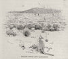 Mallee-scrub and Kangaroos. Australia 1890 old antique vintage print picture