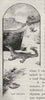 The Iguana. Australia 1890 old antique vintage print picture