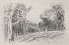 Road to the Fish River Caves. The Jenolan Caves. Australia 1890 old print