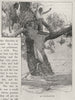 An Inundation. Queensland. Australia 1890 old antique vintage print picture