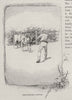 Draughting Cattle. Australia 1890 old antique vintage print picture