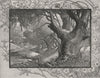 On the Campaspe, near Eohuoa. The Murray river basin. Australia 1890 old print
