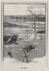 Swamps. The Murray river basin. Australia 1890 old antique print picture