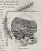 A Brumby Paradise. The Brumby. Australia 1890 old antique print picture