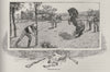 Breaking In. The Brumby. Australia 1890 old antique vintage print picture