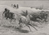 A Drive. The Brumby. Australia 1890 old antique vintage print picture