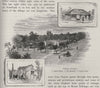 Castro's Shop, The Hospital & Castro's Hut,Wagga Wagga. Australia 1890 print