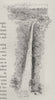The Dangar Falls. Australia 1890 old antique vintage print picture