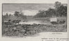 Near Inverell. Australia 1890 old antique vintage print picture