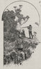 Wallaby Shooting in the Grampians. Victoria. Australia 1890 old antique print