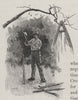 Pegging Out. Australia 1890 old antique vintage print picture