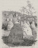 Ant Hills. Australia 1890 old antique vintage print picture