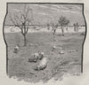 Another Mirage Effect. Australia 1890 old antique vintage print picture