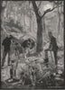 Opossum Shooting. Australia 1890 old antique vintage print picture