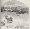 The Botanical Gardens. Sydney. Australia 1890 old antique print picture