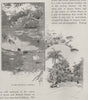 In the Botanical Gardens. Brisbane. Australia 1890 old antique print picture