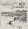 A River Bathing-place. Fiji 1890 old antique vintage print picture
