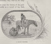A Black Trooper. Gold. Australia 1890 antique vintage print picture