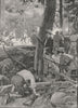 Attack on the Gold Escort between McIvor and Melbourne. Gold. Australia 1890