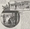 A Horse and Cattle Station; Milking. Australia 1890 old antique print picture